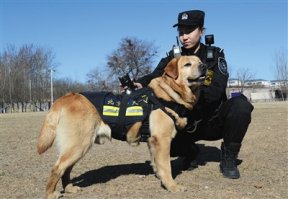 佩戴VR“天眼”警犬亮相